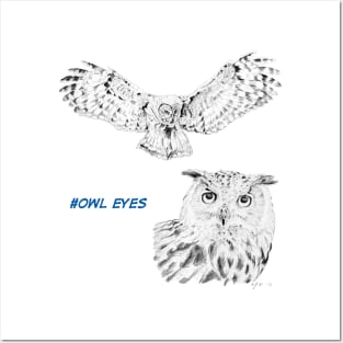 Owl Eyes! Posters and Art